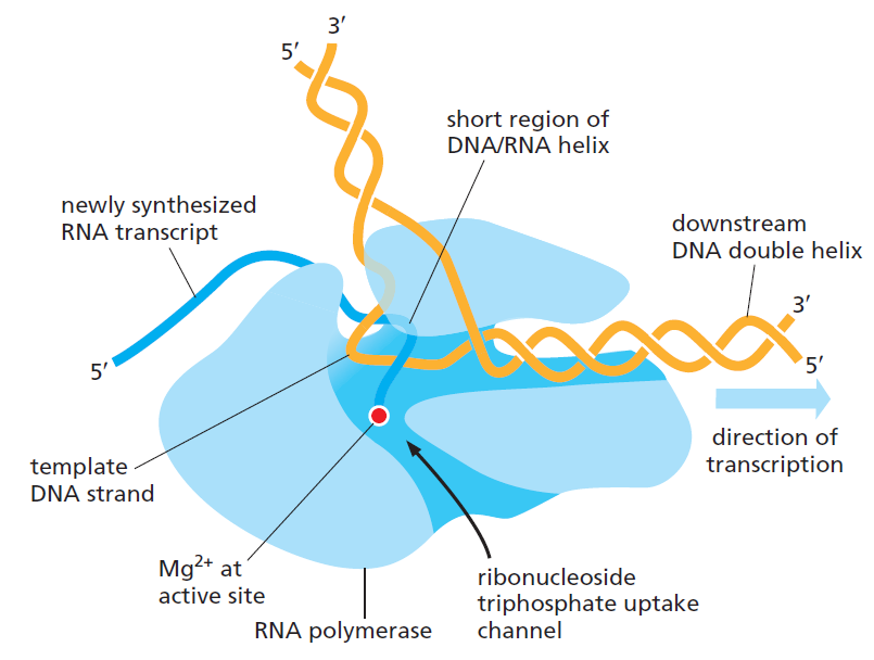 Figure 6-9.png